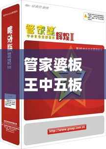 管家婆板王中五板彩网,高效解析说明_Console4.443