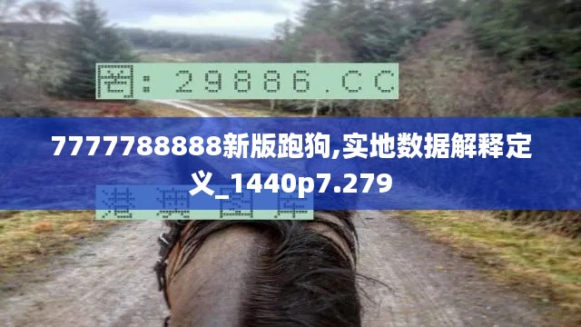 7777788888新版跑狗,实地数据解释定义_1440p7.279