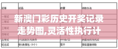 新澳门彩历史开奖记录走势图,灵活性执行计划_基础版6.249