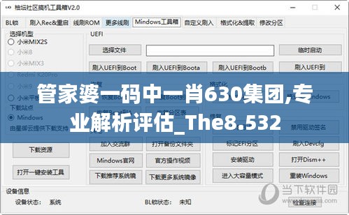 管家婆一码中一肖630集团,专业解析评估_The8.532