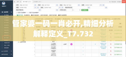 管家婆一码一肖必开,精细分析解释定义_T7.732