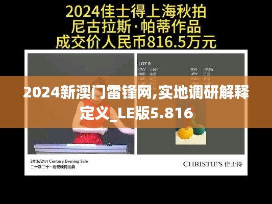 2024新澳门雷锋网,实地调研解释定义_LE版5.816