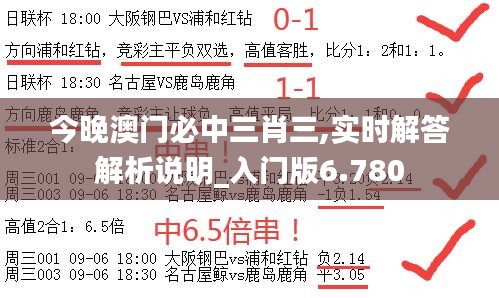 今晚澳门必中三肖三,实时解答解析说明_入门版6.780