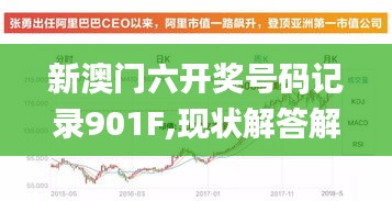 新澳门六开奖号码记录901F,现状解答解释定义_尊享款5.613