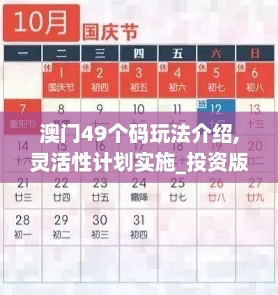 澳门49个码玩法介绍,灵活性计划实施_投资版2.313