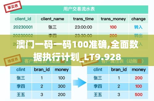 澳门一码一码100准确,全面数据执行计划_LT9.928