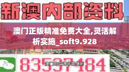 澳门正版精准免费大全,灵活解析实施_soft9.928