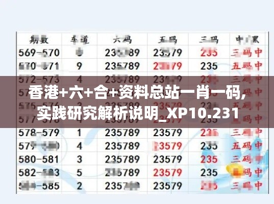 香港+六+合+资料总站一肖一码,实践研究解析说明_XP10.231