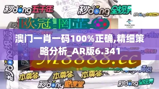 澳门一肖一码100%正确,精细策略分析_AR版6.341