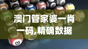 澳门管家婆一肖一码,精确数据解释定义_AP9.428