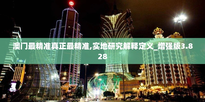 澳门最精准真正最精准,实地研究解释定义_增强版3.828