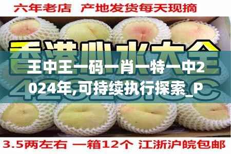 王中王一码一肖一特一中2024年,可持续执行探索_PT10.996
