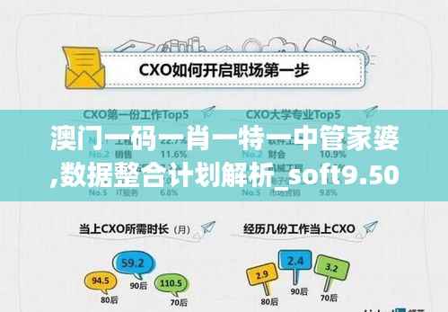 澳门一码一肖一特一中管家婆,数据整合计划解析_soft9.501