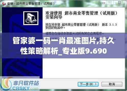 管家婆一码一肖最准图片,持久性策略解析_专业版9.690