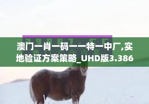 澳门一肖一码一一特一中厂,实地验证方案策略_UHD版3.386