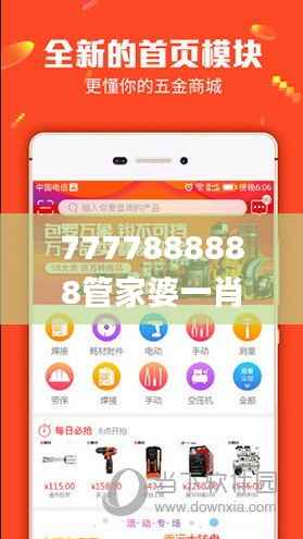 7777888888管家婆一肖,实践分析解析说明_优选版9.464
