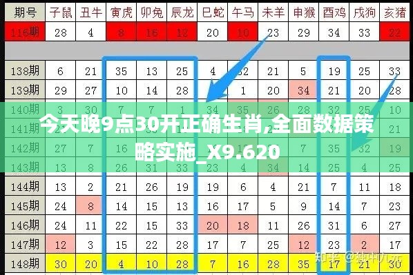 今天晚9点30开正确生肖,全面数据策略实施_X9.620