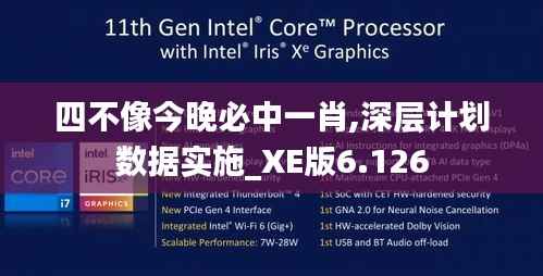 2024年12月12日 第23页