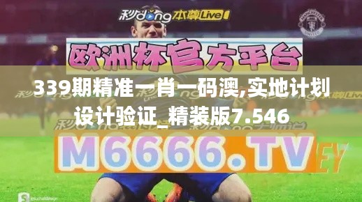 339期精准一肖一码澳,实地计划设计验证_精装版7.546