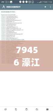 79456 濠江论坛,实地验证数据设计_HDR3.712