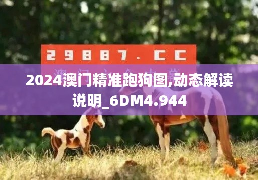 2024澳门精准跑狗图,动态解读说明_6DM4.944