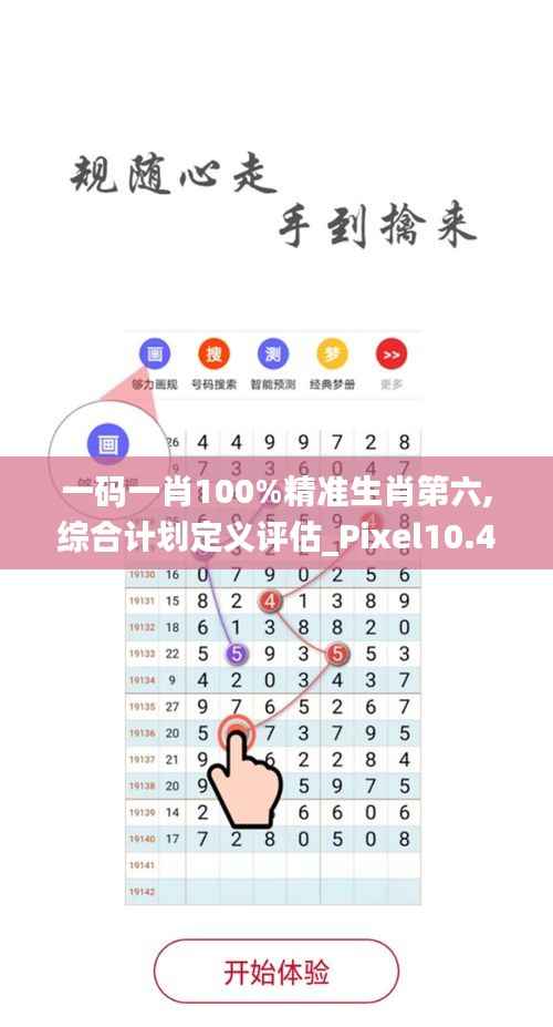 一码一肖100%精准生肖第六,综合计划定义评估_Pixel10.429