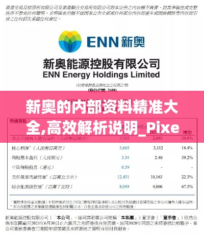 新奥的内部资料精准大全,高效解析说明_Pixel14.564