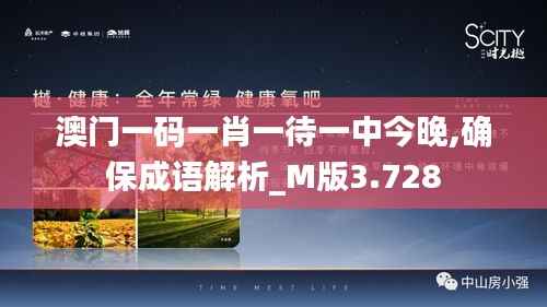 澳门一码一肖一待一中今晚,确保成语解析_M版3.728