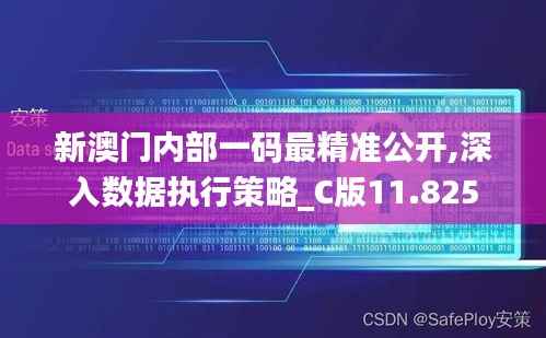 新澳门内部一码最精准公开,深入数据执行策略_C版11.825