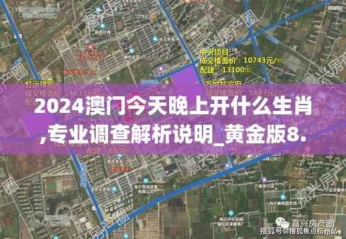 2024澳门今天晚上开什么生肖,专业调查解析说明_黄金版8.998