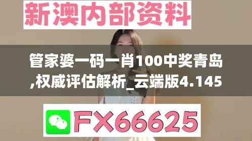 2024年12月12日 第11页