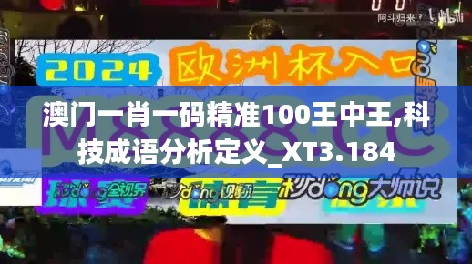 澳门一肖一码精准100王中王,科技成语分析定义_XT3.184