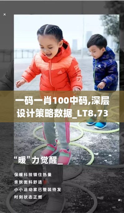 一码一肖100中码,深层设计策略数据_LT8.734