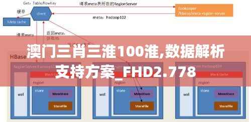 澳门三肖三淮100淮,数据解析支持方案_FHD2.778