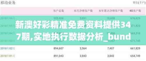 新澳好彩精准免费资料提供347期,实地执行数据分析_bundle9.643