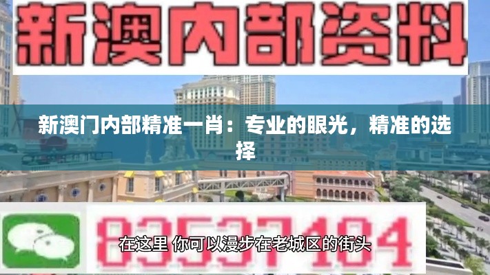 新澳门内部精准一肖:专业的眼光,精准的选择