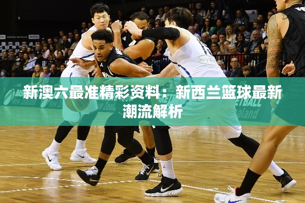 新澳六最准精彩资料:新西兰篮球最新潮流解析