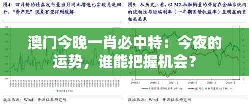澳门今晚一肖必中特:今夜的运势,谁能把握机会?
