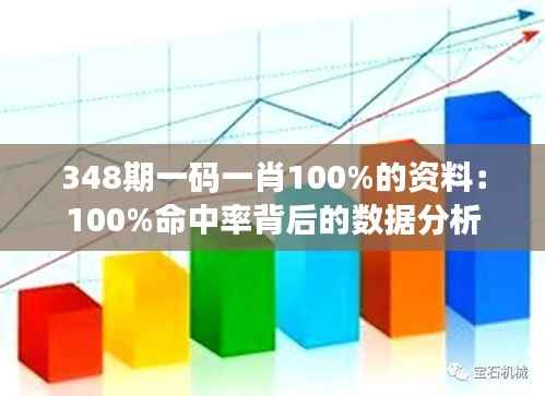 348期一码一肖100%的资料:100%命中率背后的数据分析