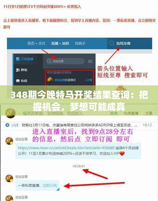 348期今晚特马开奖结果查询:把握机会,梦想可能成真