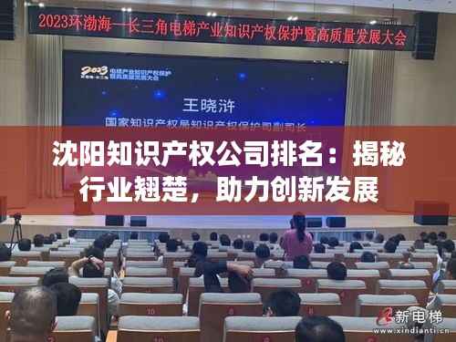 沈阳知识产权公司排名：揭秘行业翘楚，助力创新发展