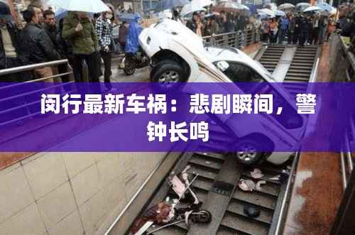 闵行最新车祸：悲剧瞬间，警钟长鸣