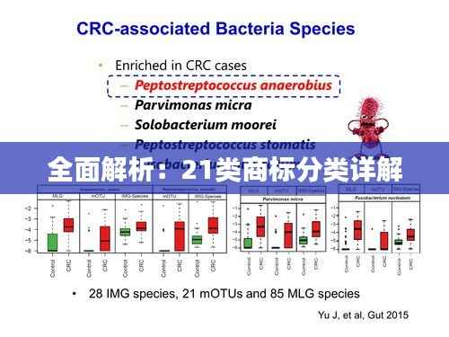 全面解析:21类商标分类详解