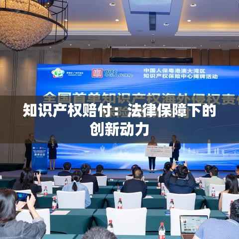 知识产权赔付：法律保障下的创新动力