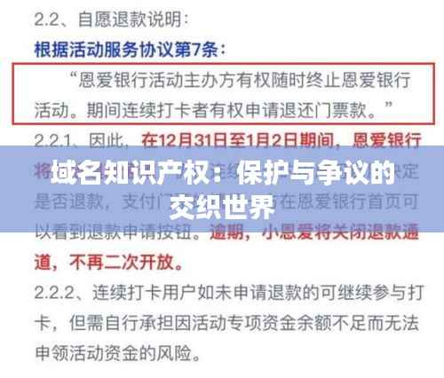 域名知识产权:保护与争议的交织世界