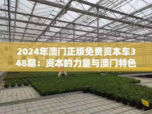 2024年澳门正版免费资本车348期:资本的力量与澳门特色经济