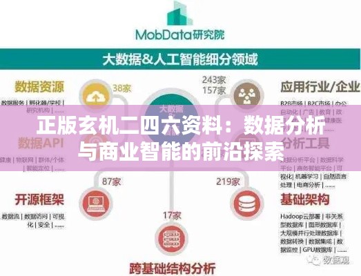 正版玄机二四六资料：数据分析与商业智能的前沿探索