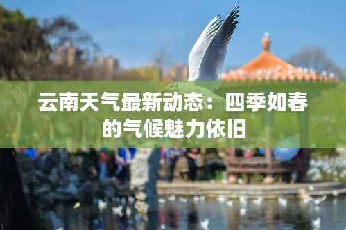 云南天气最新动态：四季如春的气候魅力依旧