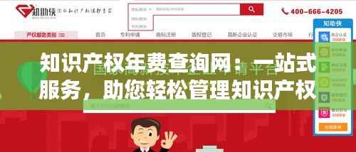 知识产权年费查询网:一站式服务,助您轻松管理知识产权