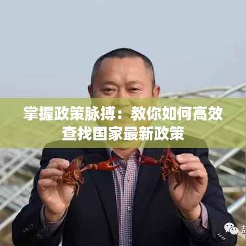 掌握政策脉搏:教你如何高效查找国家最新政策